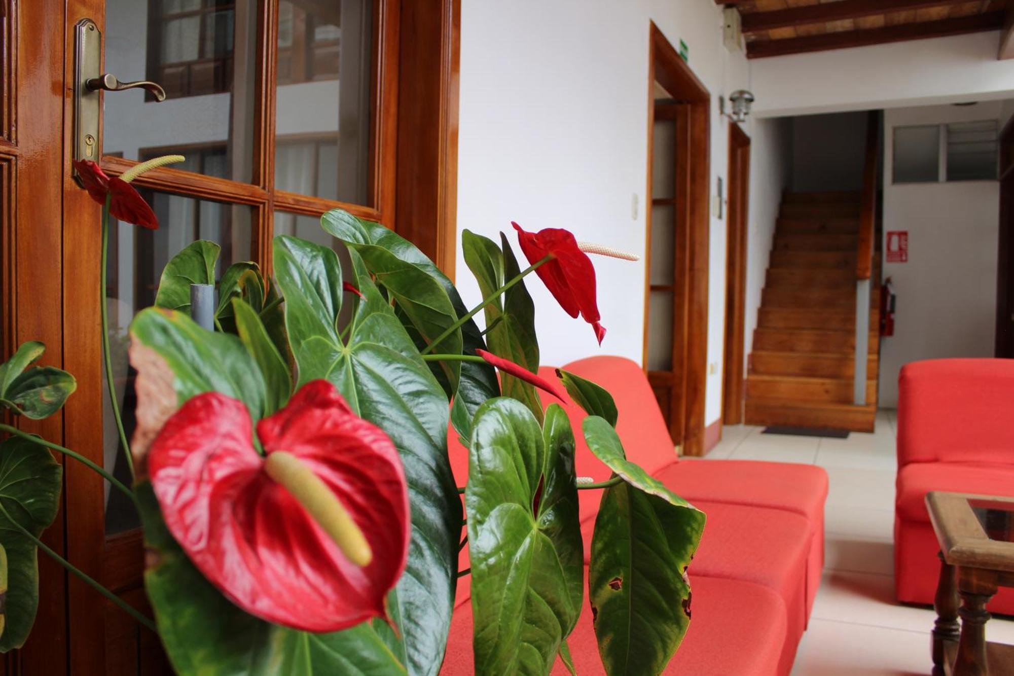 Casa Pablo Apartment Cajamarca Exterior photo